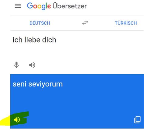 deutsch türkisch übersetzung|google übersetzer türkisch deutsch.